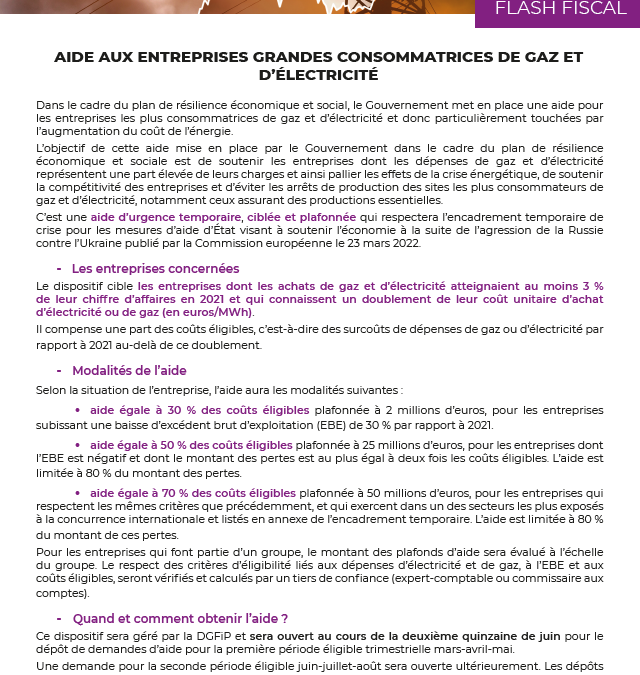 Aide aux entreprises grandes consommatrices de gaz et d’électricité